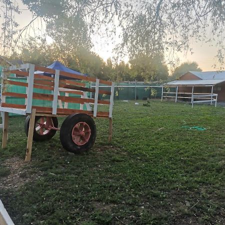 Apartament Cabana El Quillay Linares Zewnętrze zdjęcie
